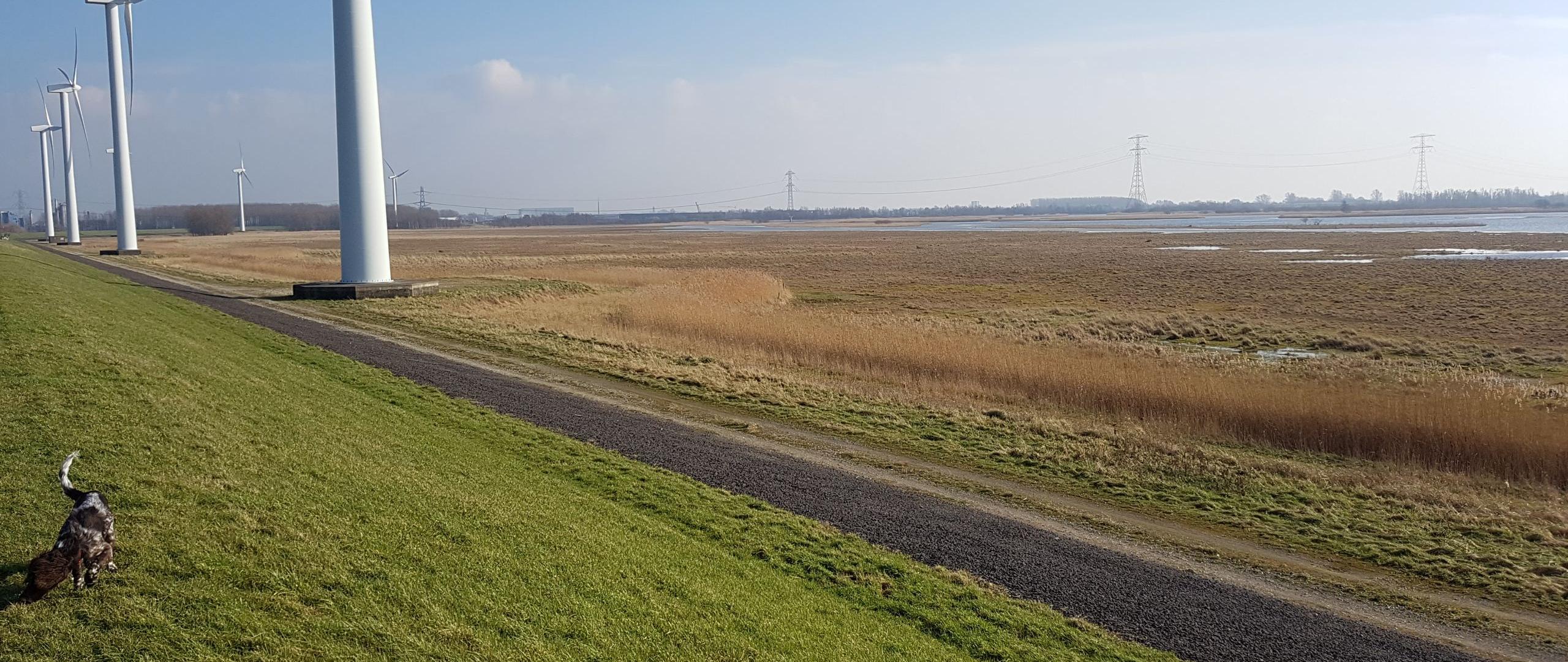 Auvergnepolder auvergnepolder